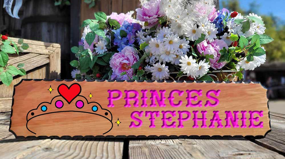 Enchanted Princess Wood Sign - Calico Wood Signs