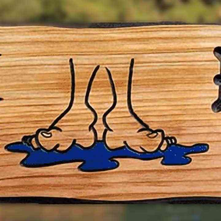 Wooden Welcome Porch Sign w Wet Feet