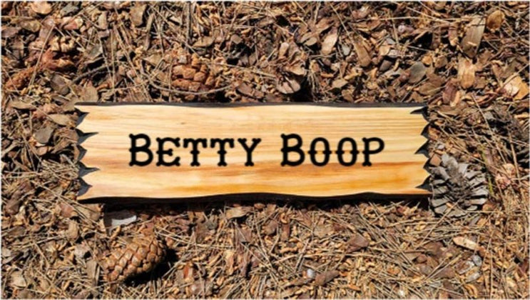 Calico Wood Signs - Barn Stall Sign