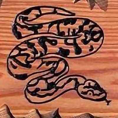 Wood Sign w Python Snake